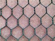 PVC-Coated Hexagonal Wire Mesh 